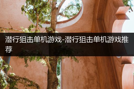 潜行狙击单机游戏-潜行狙击单机游戏推荐