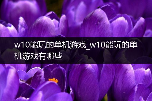 w10能玩的单机游戏_w10能玩的单机游戏有哪些