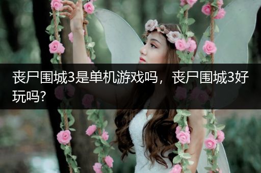丧尸围城3是单机游戏吗，丧尸围城3好玩吗?