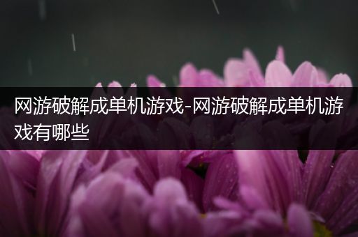 网游破解成单机游戏-网游破解成单机游戏有哪些