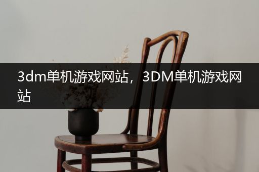 3dm单机游戏网站，3DM单机游戏网站