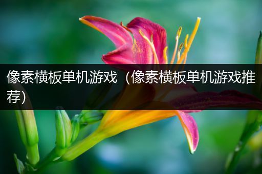 像素横板单机游戏（像素横板单机游戏推荐）