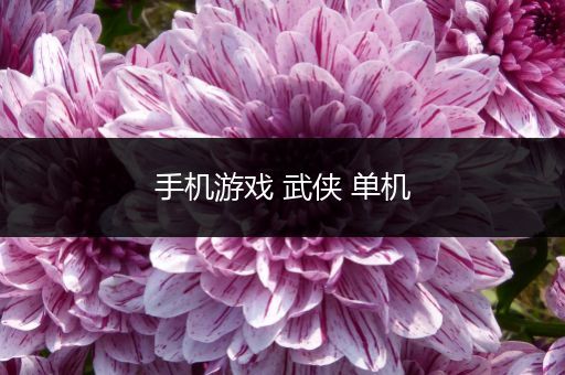 手机游戏 武侠 单机