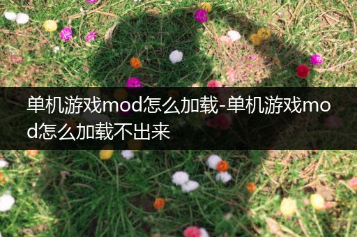 单机游戏mod怎么加载-单机游戏mod怎么加载不出来