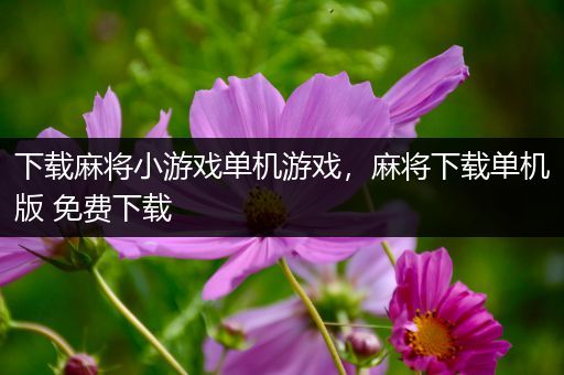 下载麻将小游戏单机游戏，麻将下载单机版 免费下载