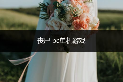 丧尸 pc单机游戏