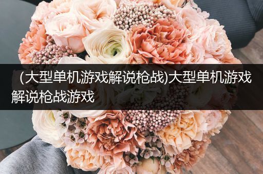 （大型单机游戏解说枪战)大型单机游戏解说枪战游戏