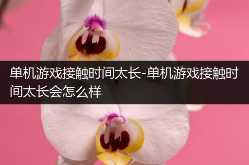 单机游戏接触时间太长-单机游戏接触时间太长会怎么样