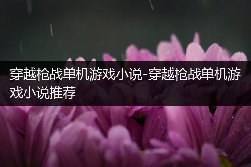 穿越枪战单机游戏小说-穿越枪战单机游戏小说推荐