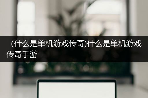 （什么是单机游戏传奇)什么是单机游戏传奇手游