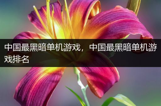 中国最黑暗单机游戏，中国最黑暗单机游戏排名