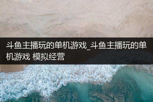 斗鱼主播玩的单机游戏_斗鱼主播玩的单机游戏 模拟经营