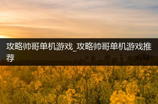 攻略帅哥单机游戏_攻略帅哥单机游戏推荐