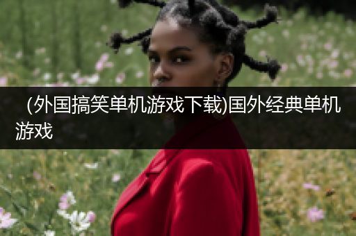 （外国搞笑单机游戏下载)国外经典单机游戏