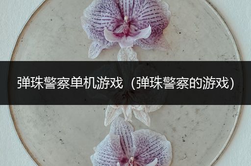 弹珠警察单机游戏（弹珠警察的游戏）