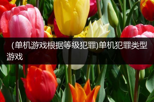 （单机游戏根据等级犯罪)单机犯罪类型游戏