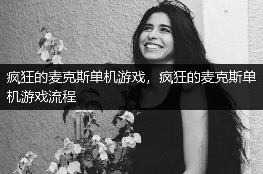 疯狂的麦克斯单机游戏，疯狂的麦克斯单机游戏流程
