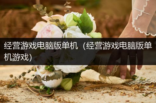 经营游戏电脑版单机（经营游戏电脑版单机游戏）