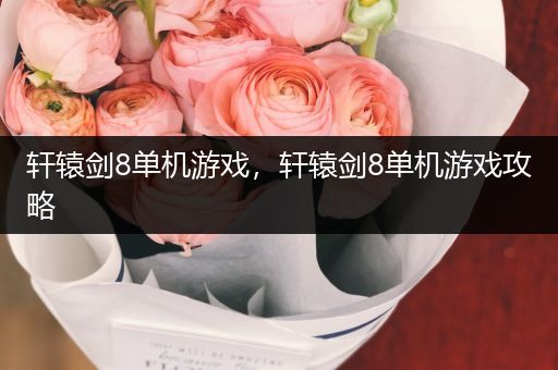 轩辕剑8单机游戏，轩辕剑8单机游戏攻略