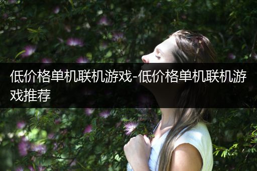 低价格单机联机游戏-低价格单机联机游戏推荐
