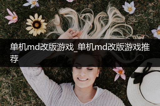 单机md改版游戏_单机md改版游戏推荐