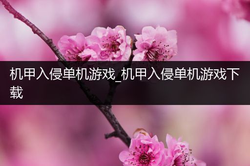 机甲入侵单机游戏_机甲入侵单机游戏下载