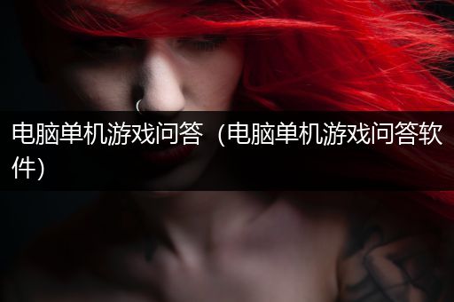 电脑单机游戏问答（电脑单机游戏问答软件）