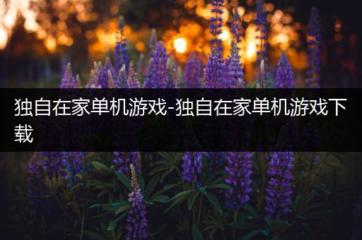 独自在家单机游戏-独自在家单机游戏下载