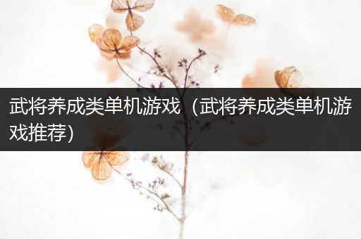 武将养成类单机游戏（武将养成类单机游戏推荐）