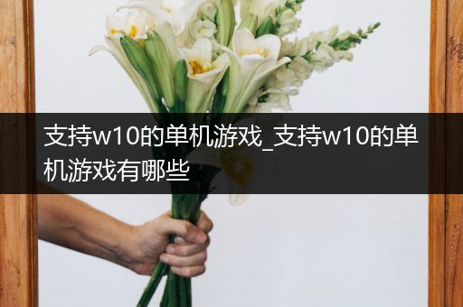 支持w10的单机游戏_支持w10的单机游戏有哪些