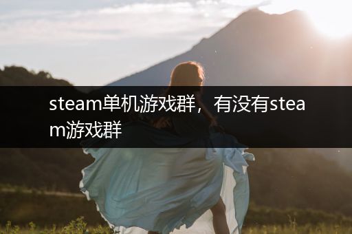 steam单机游戏群，有没有steam游戏群