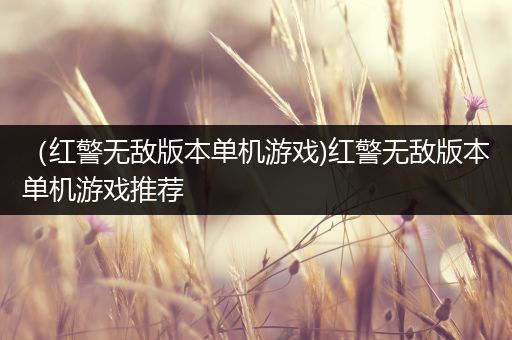 （红警无敌版本单机游戏)红警无敌版本单机游戏推荐
