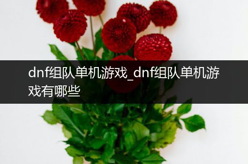 dnf组队单机游戏_dnf组队单机游戏有哪些