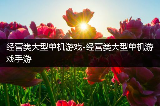 经营类大型单机游戏-经营类大型单机游戏手游