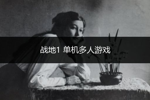 战地1 单机多人游戏