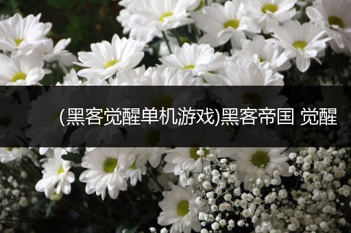 （黑客觉醒单机游戏)黑客帝国 觉醒