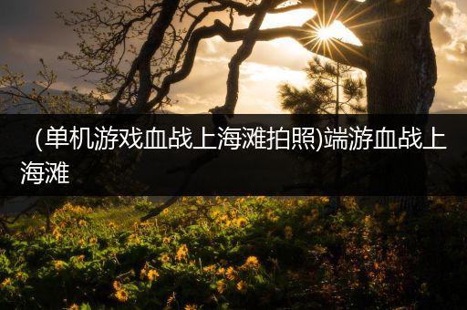 （单机游戏血战上海滩拍照)端游血战上海滩