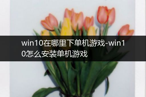 win10在哪里下单机游戏-win10怎么安装单机游戏