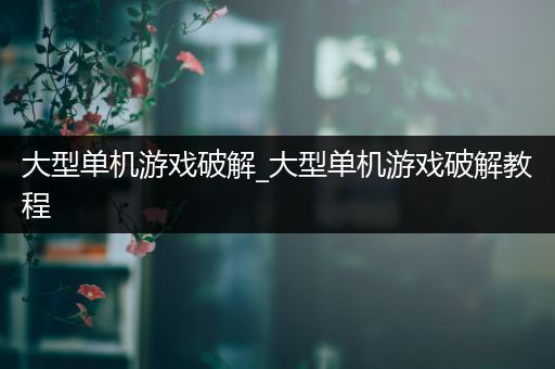 大型单机游戏破解_大型单机游戏破解教程