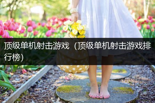 顶级单机射击游戏（顶级单机射击游戏排行榜）