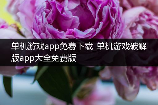 单机游戏app免费下载_单机游戏破解版app大全免费版