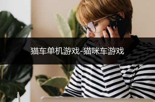 猫车单机游戏-猫咪车游戏