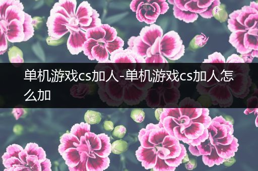单机游戏cs加人-单机游戏cs加人怎么加