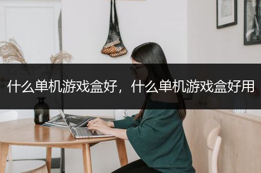 什么单机游戏盒好，什么单机游戏盒好用