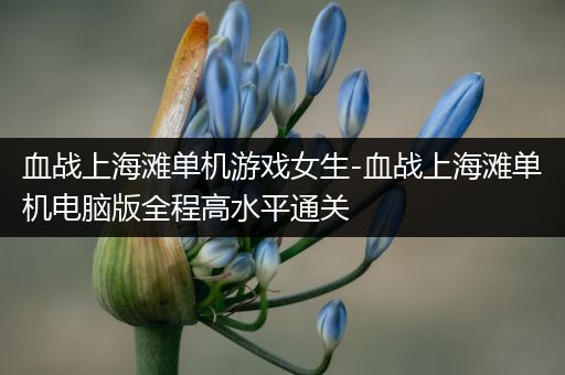 血战上海滩单机游戏女生-血战上海滩单机电脑版全程高水平通关