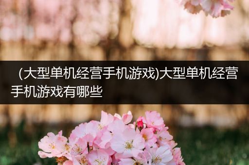 （大型单机经营手机游戏)大型单机经营手机游戏有哪些