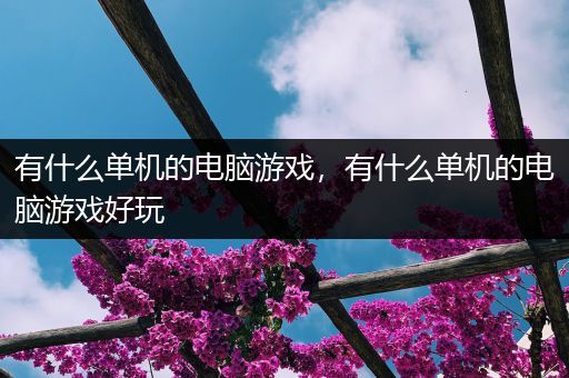 有什么单机的电脑游戏，有什么单机的电脑游戏好玩