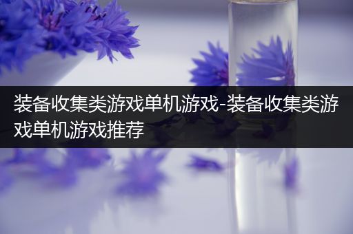 装备收集类游戏单机游戏-装备收集类游戏单机游戏推荐