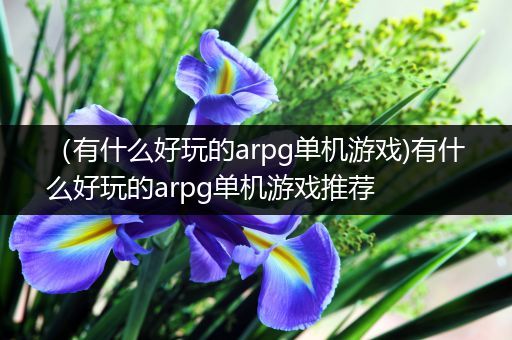（有什么好玩的arpg单机游戏)有什么好玩的arpg单机游戏推荐