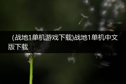 （战地1单机游戏下载)战地1单机中文版下载